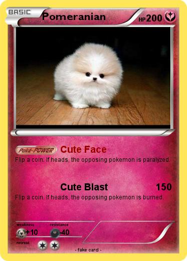 Pokemon Pomeranian