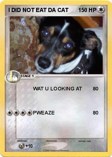 Pokemon I DID NOT EAT DA CAT