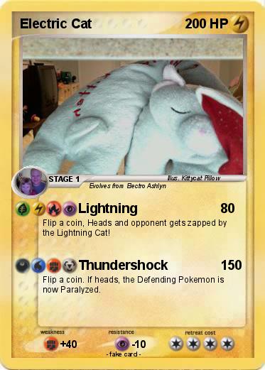 Pokemon Electric Cat