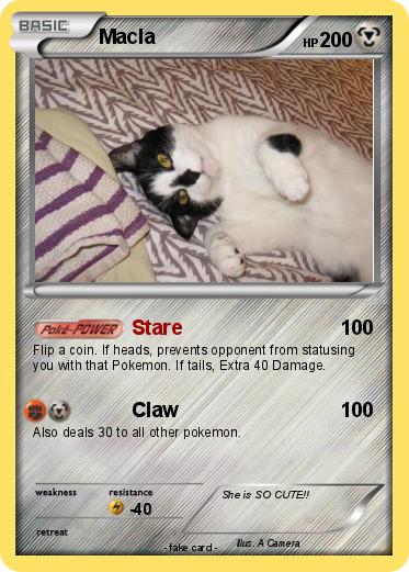 Pokemon Macla