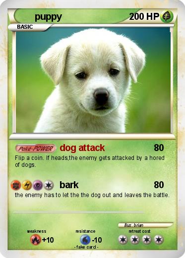 Pokemon puppy