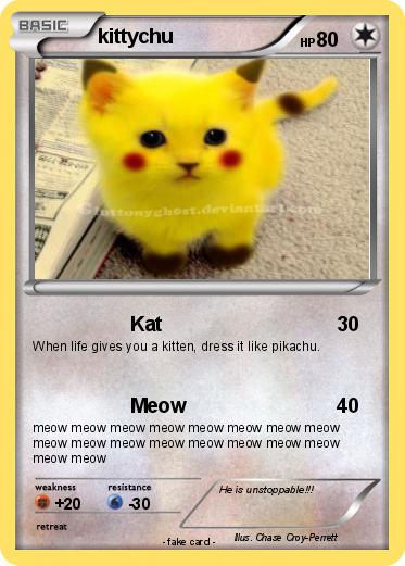 Pokemon kittychu
