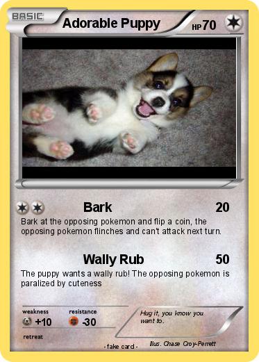 Pokemon Adorable Puppy