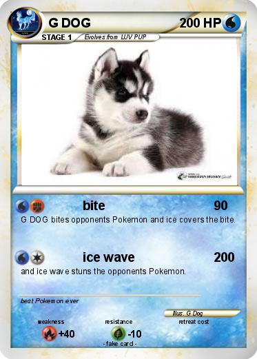 Pokemon G DOG