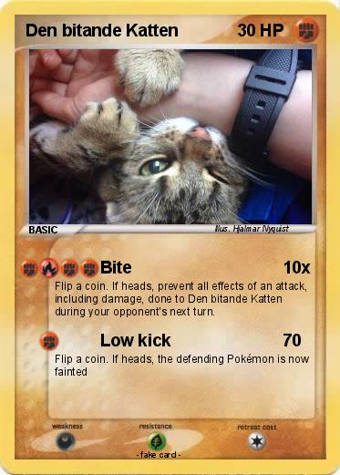 Pokemon Den bitande Katten