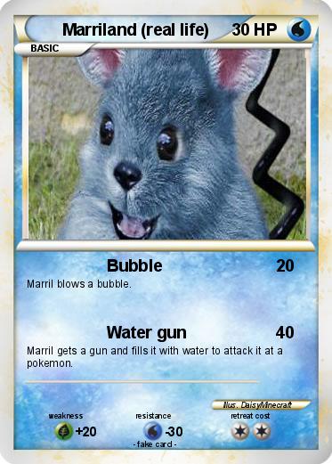 Pokemon Marriland (real life)