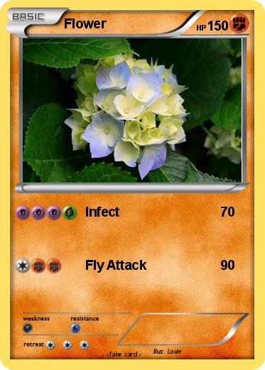 Pokemon Flower