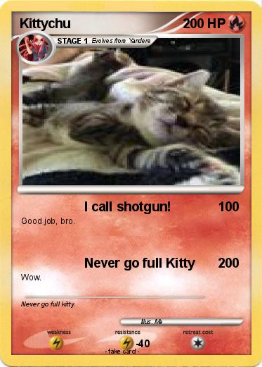 Pokemon Kittychu