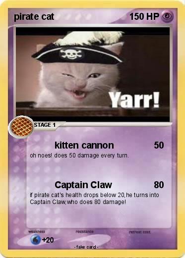 Pokemon pirate cat