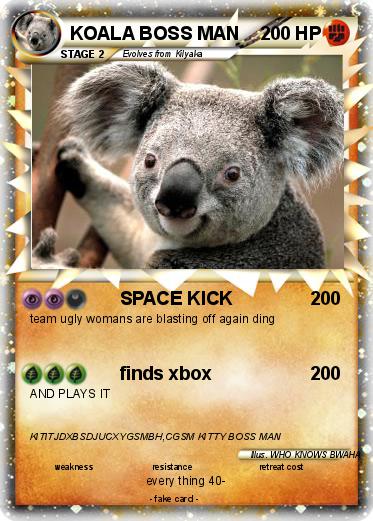 Pokemon KOALA BOSS MAN