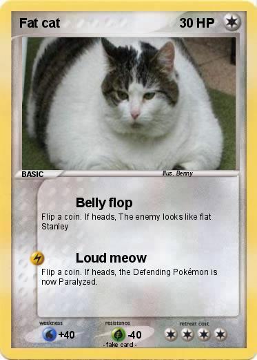 Pokemon Fat cat