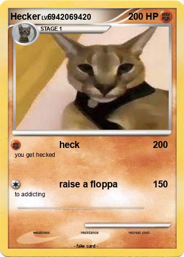 Pokemon Hecker
