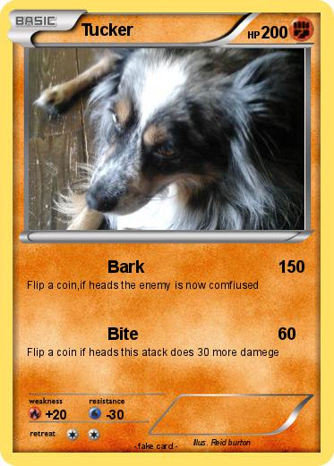 Pokemon Tucker