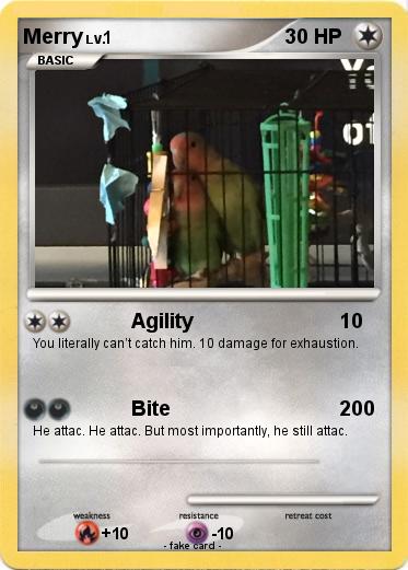 Pokemon Merry