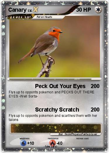 Pokemon Canary