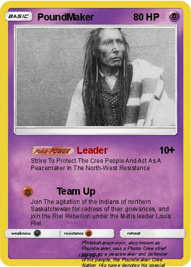 Pokemon PoundMaker
