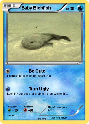 Pokemon Baby Blobfish