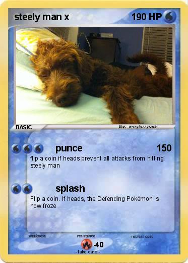 Pokemon steely man x