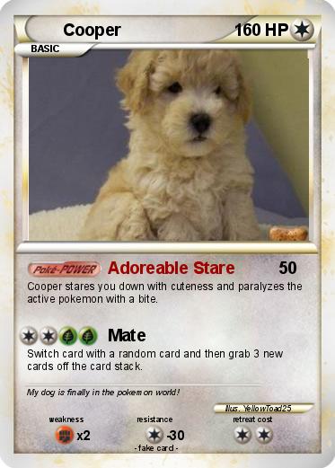 Pokemon Cooper