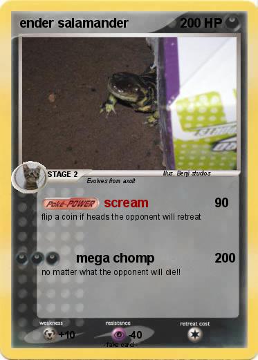 Pokemon ender salamander