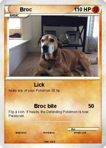 Pokemon Broc