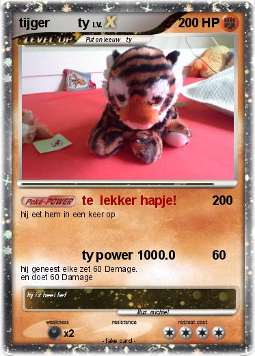 Pokemon tijger        ty