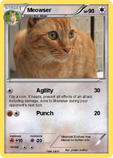 Pokemon Meowser
