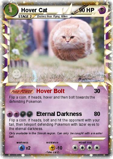 Pokemon Hover Cat