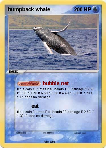 Pokemon humpback whale