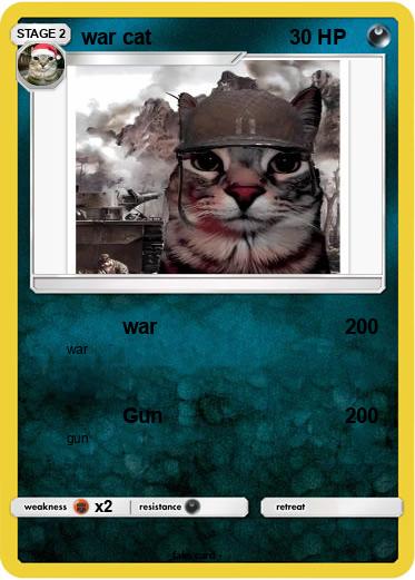 Pokemon war cat