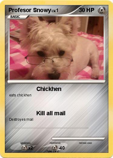 Pokemon Profesor Snowy