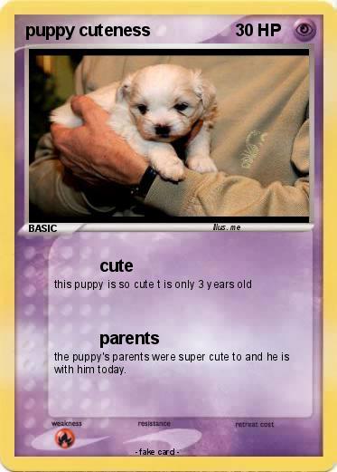 Pokemon puppy cuteness