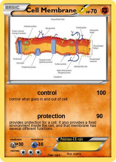 Pokemon Cell Membrane