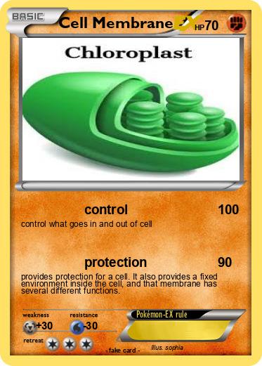 Pokemon Cell Membrane