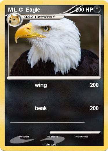 Pokemon M L G  Eagle
