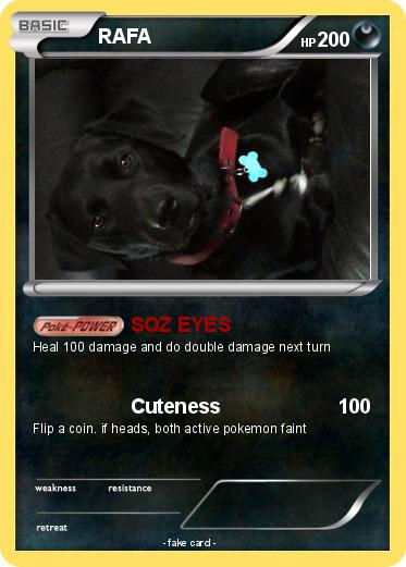 Pokemon RAFA