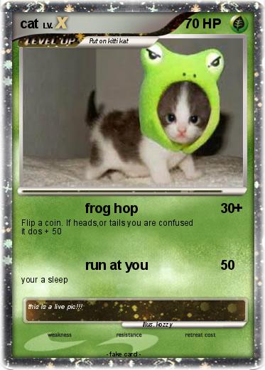 Pokemon cat