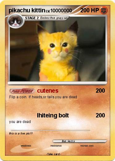 Pokemon pikachu kittin