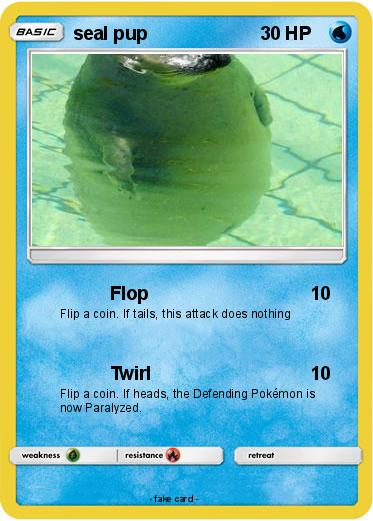 Pokemon seal pup