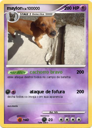 Pokemon maylon