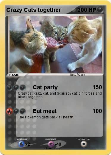 Pokemon Crazy Cats together