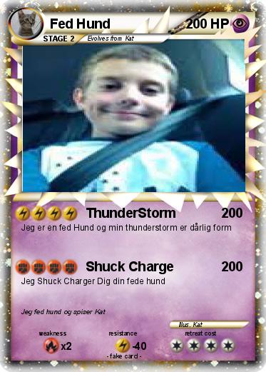 Pokemon Fed Hund