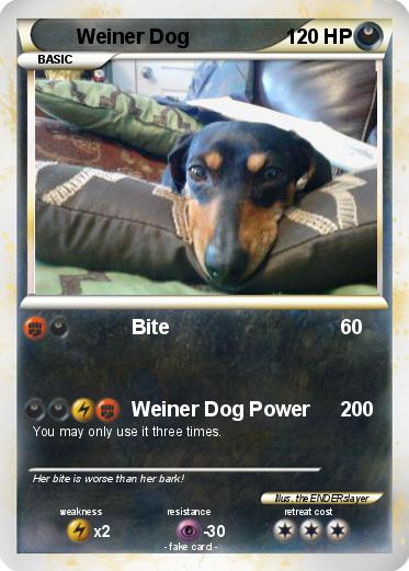 Pokemon Weiner Dog