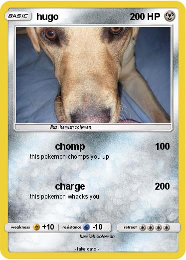 Pokemon hugo