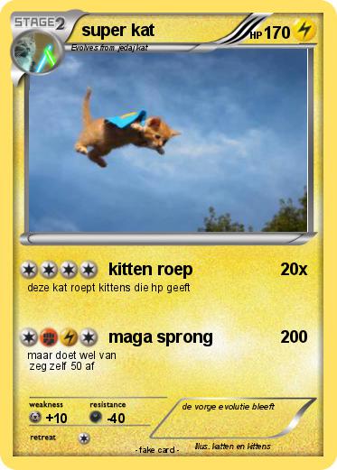 Pokemon super kat