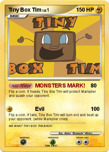 Pokemon Tiny Box Tim