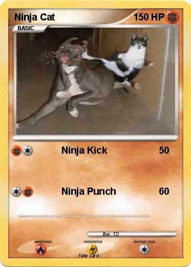 Pokemon Ninja Cat