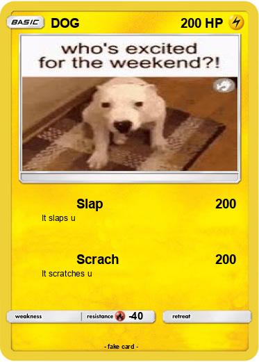 Pokemon DOG