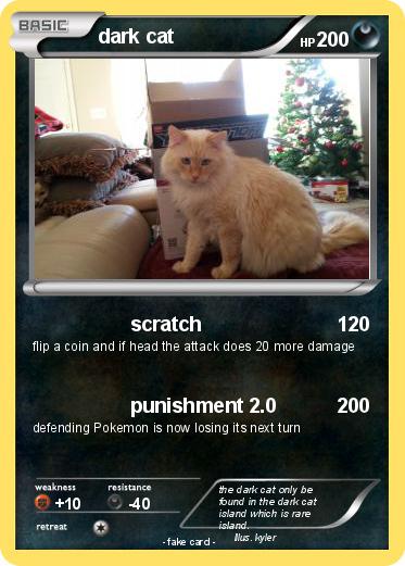 Pokemon dark cat