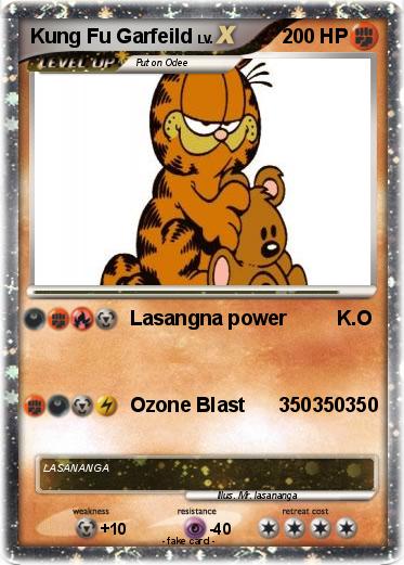 Pokemon Kung Fu Garfeild